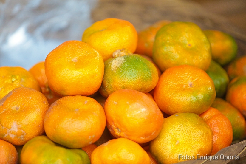 FRUTAS